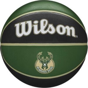 كرة سلة  WILSON NBA، رسمية للرجال، مقاس 7-29.5